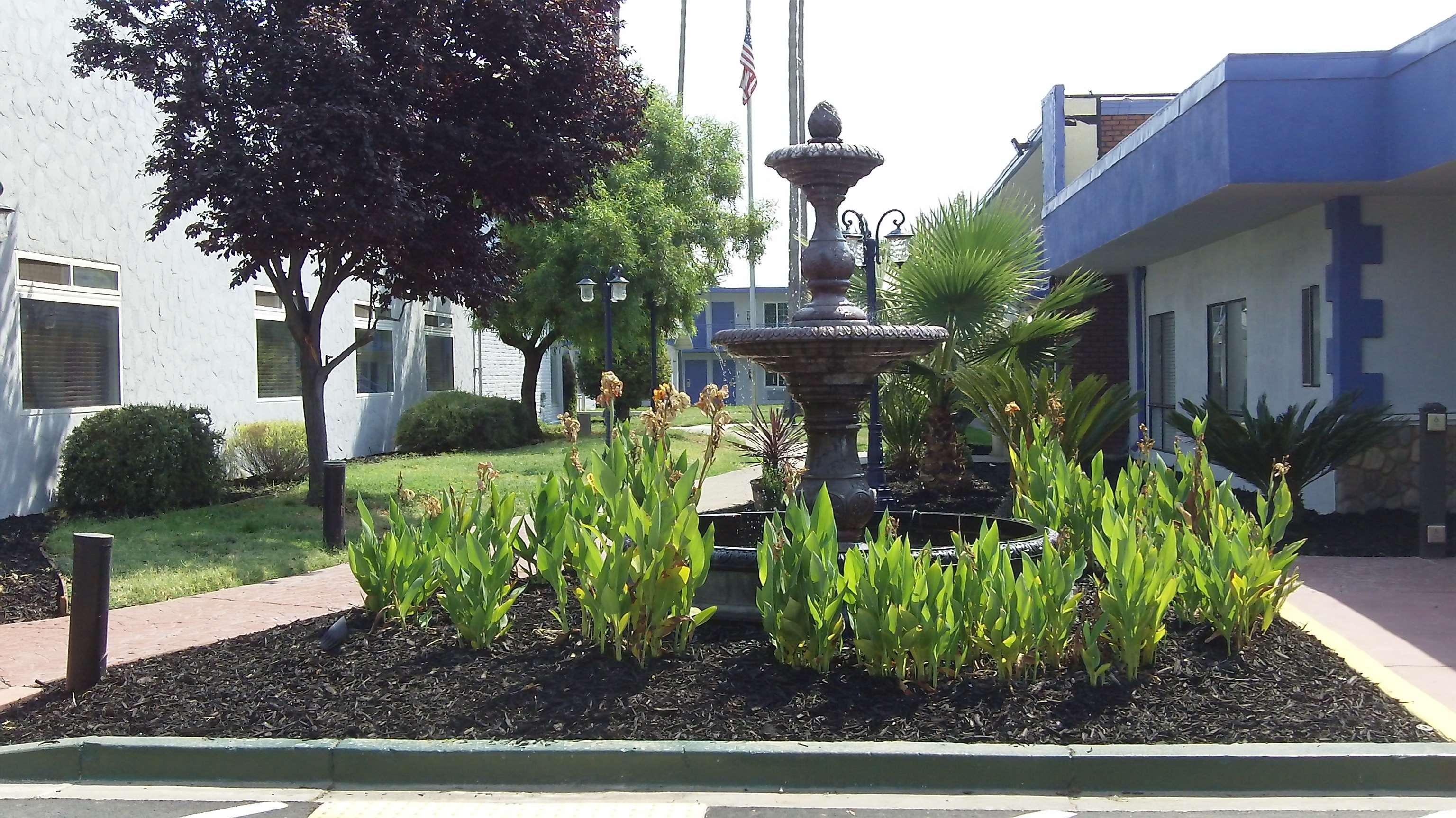 Surestay Plus Hotel By Best Western Sacramento Cal Expo מראה חיצוני תמונה